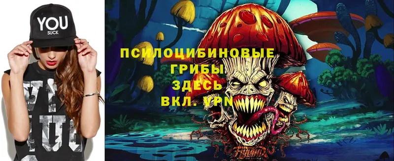 Псилоцибиновые грибы Cubensis  Раменское 